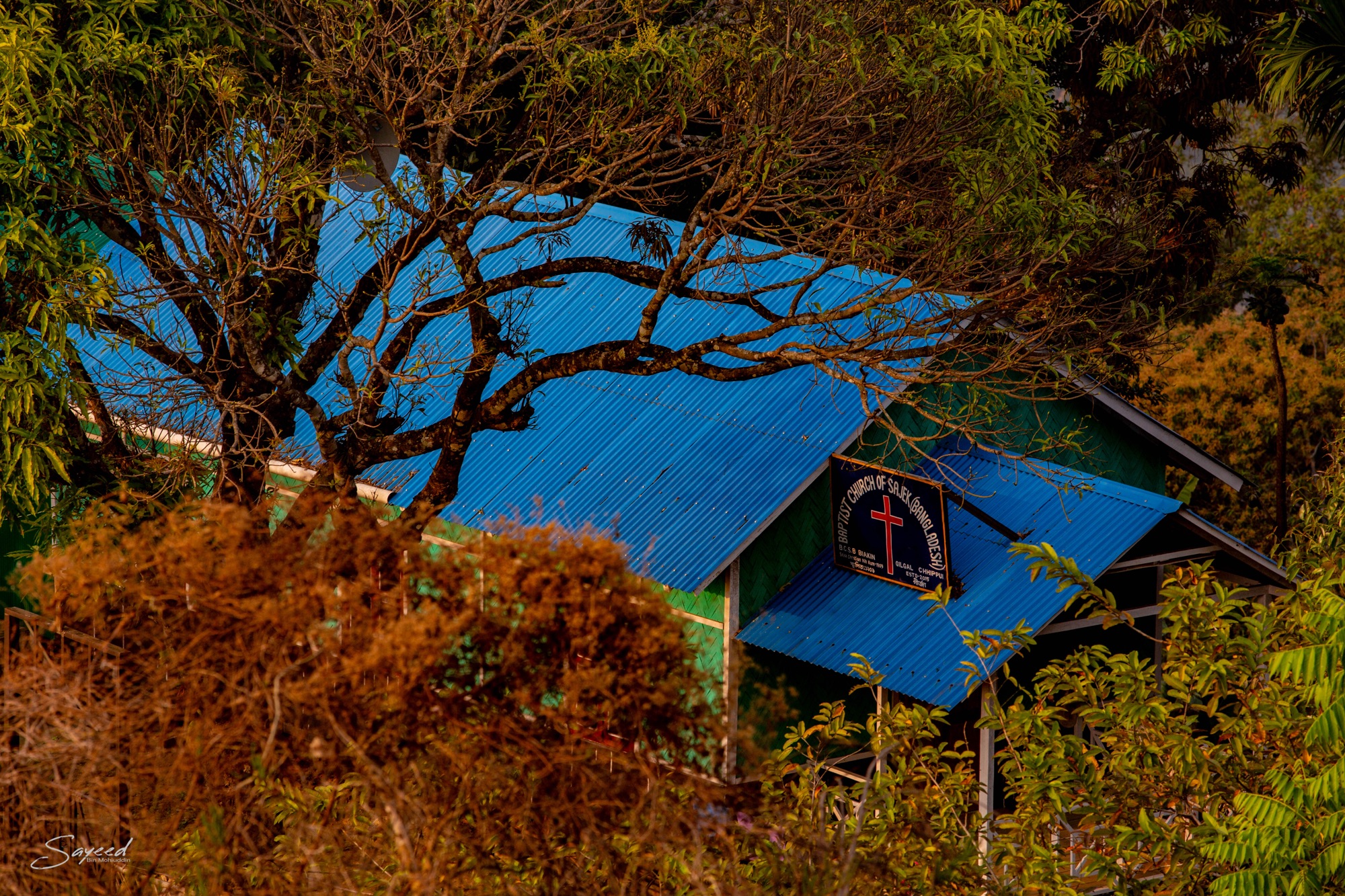 The hills of the Hill Tracts, Bangladesh