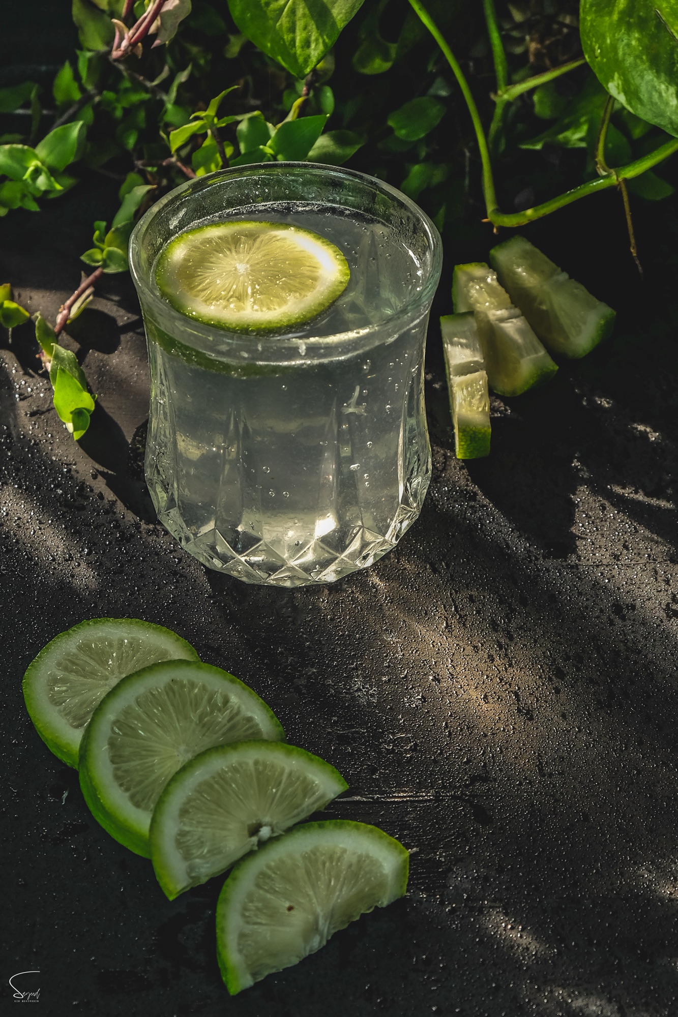 Glass of lime soda with mint and lime wheels on a dark moody tabletop