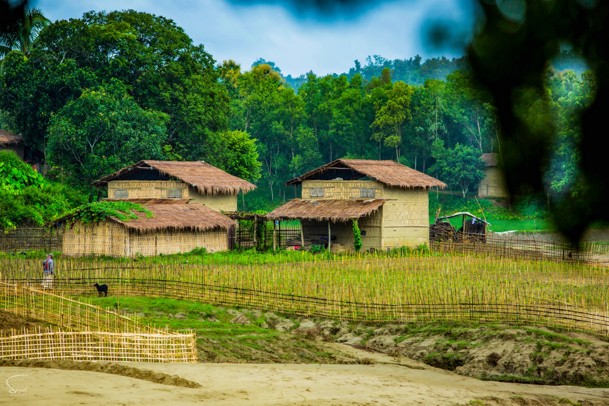 Green ridgelines fading into distance, Chittagong Hill Tracts