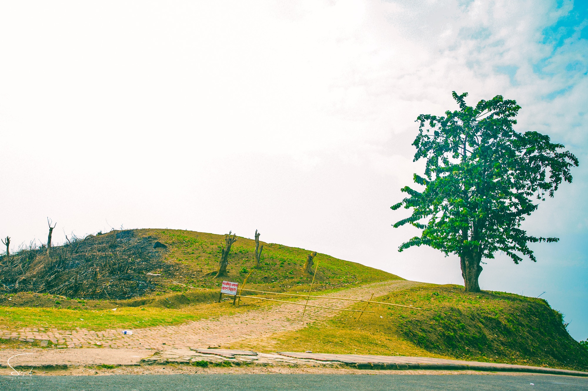 Green hills of the Chittagong Hill Tracts