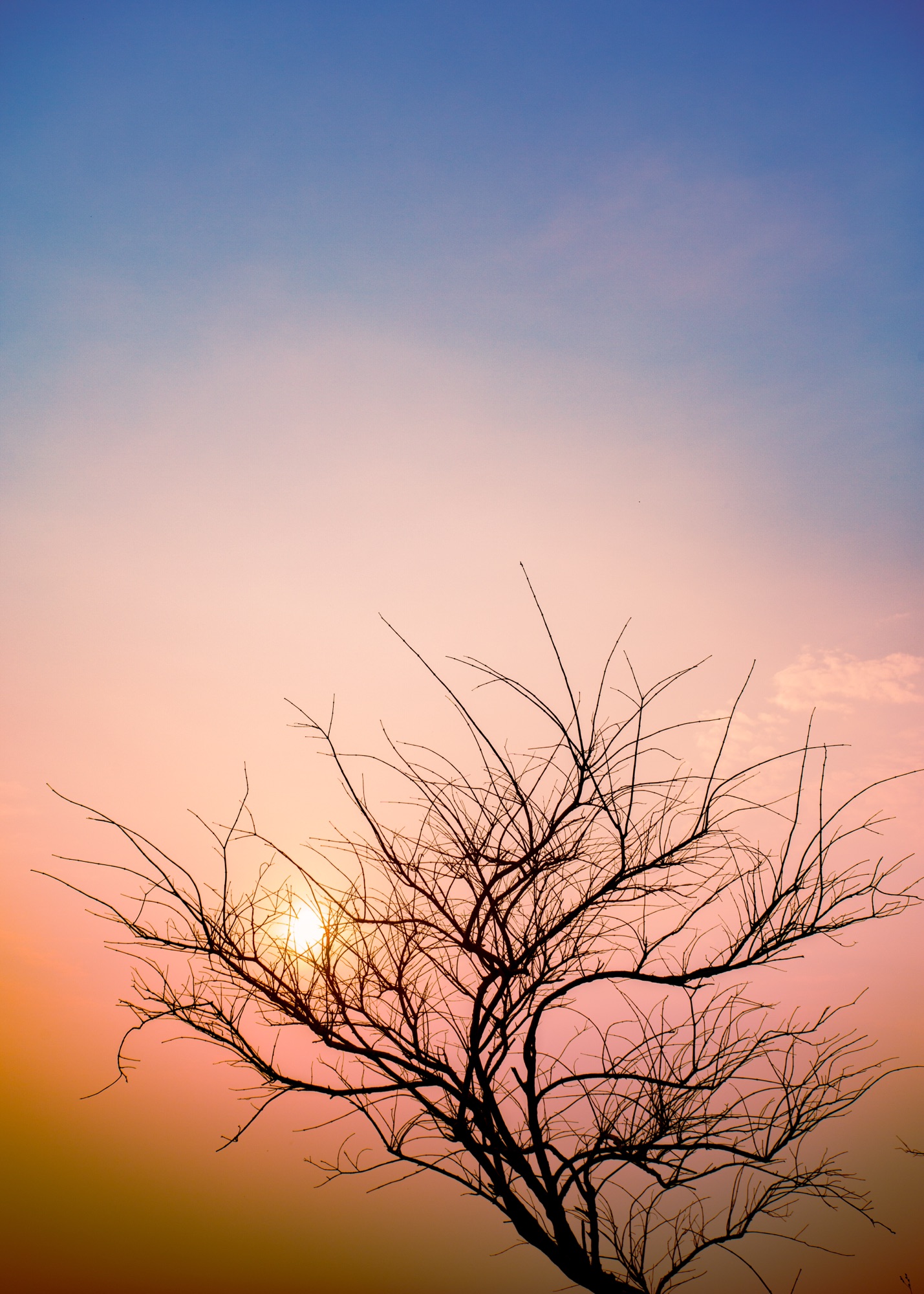 A landscape, Bangladesh