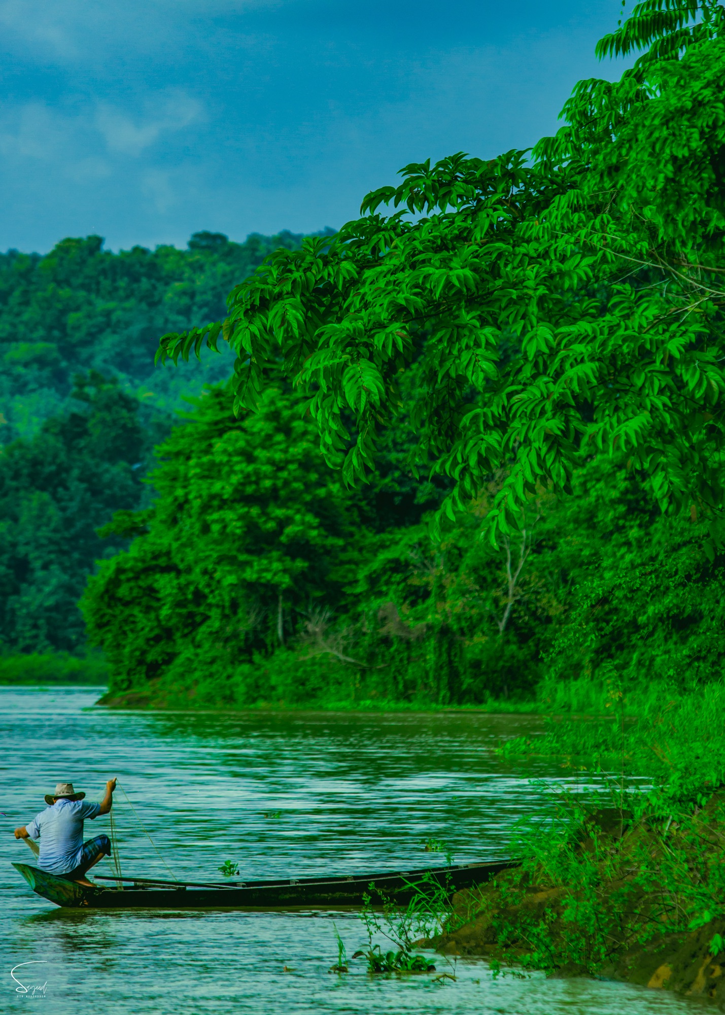 A fisherman surrounded by trees on the lake, Rangamati