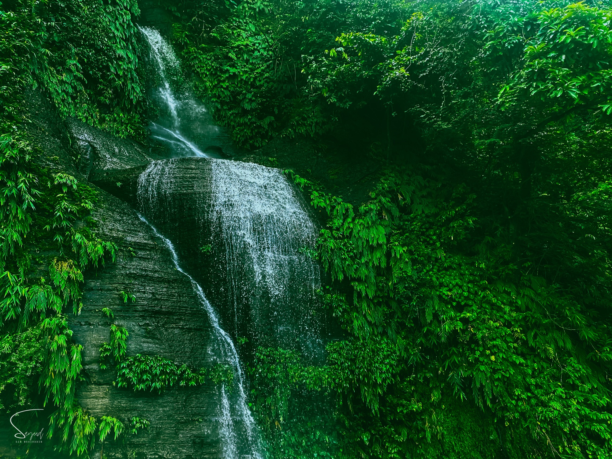 A wide green landscape, Chittagong Hill Tracts