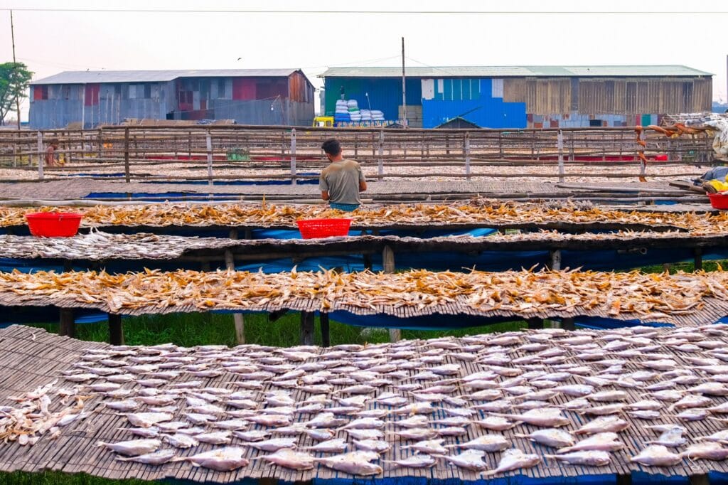 A woman cuts fish by hand at Bakalia, one Shutki Palli Chittagong yard.