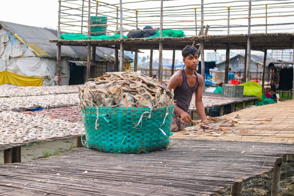 A teenage boy working in the Chittagong Bakalia Shutki Palli